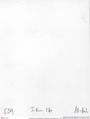 Historisches Foto (Rückseite) von Galatheites aiola (Robins et al., 2016) (NHMW-AFW-GEO-BACHMAYER-FOTO-1990-0041-0539)